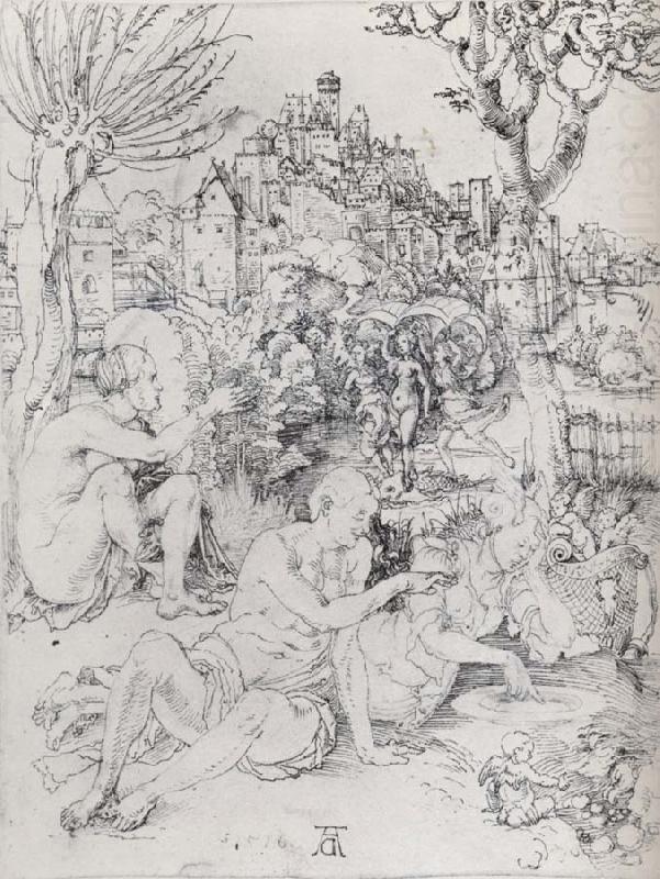 Albrecht Durer The Birth of Venus Urania china oil painting image